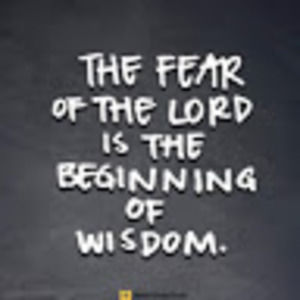 Meet your Posher, Loretta